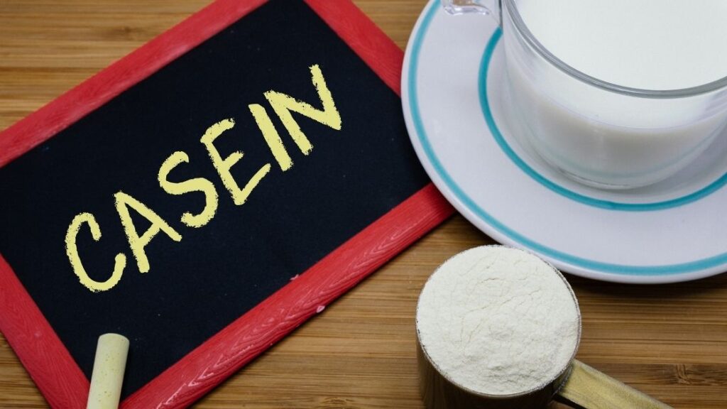 Casein protein for weight loss