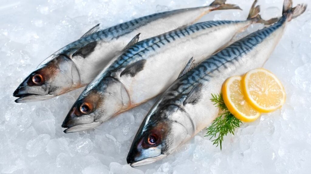 Mackerel fish for weight loss