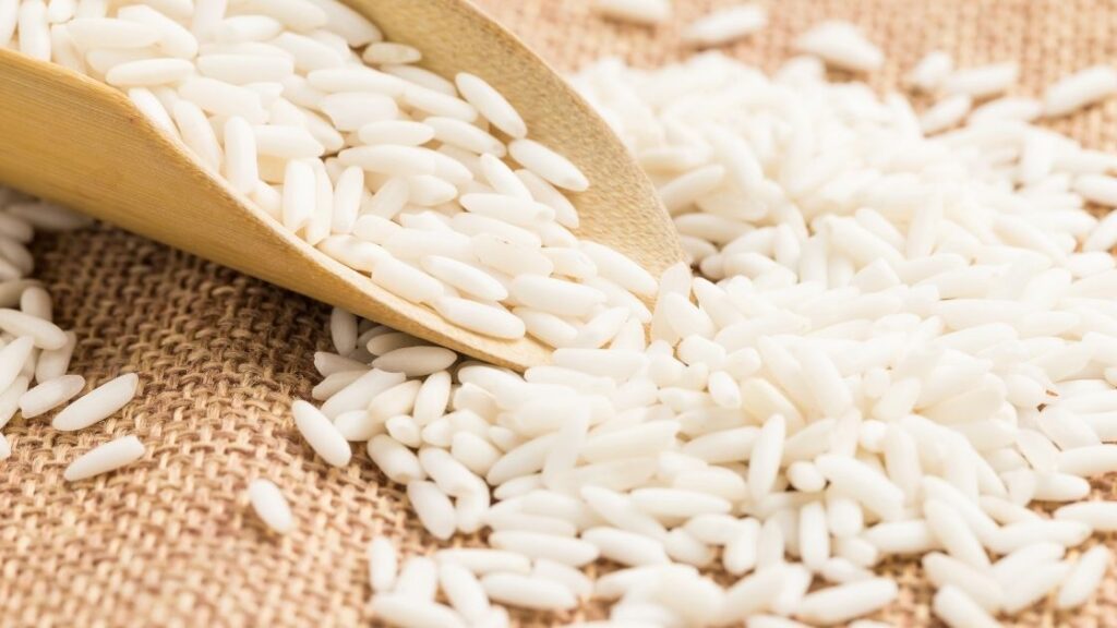 Rice protein for weight loss