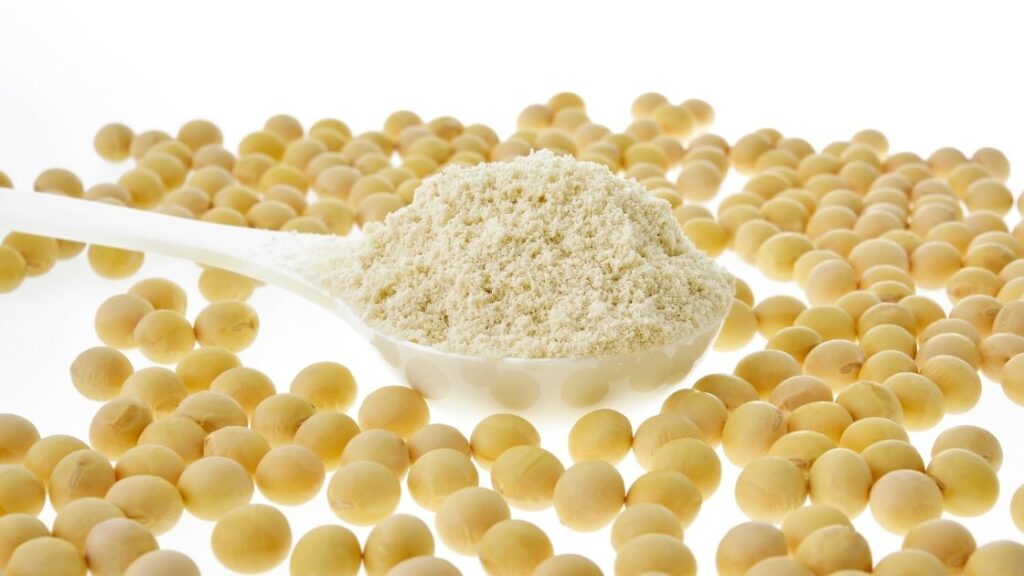 Soy protein for weight loss