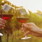 Best wine for weight loss