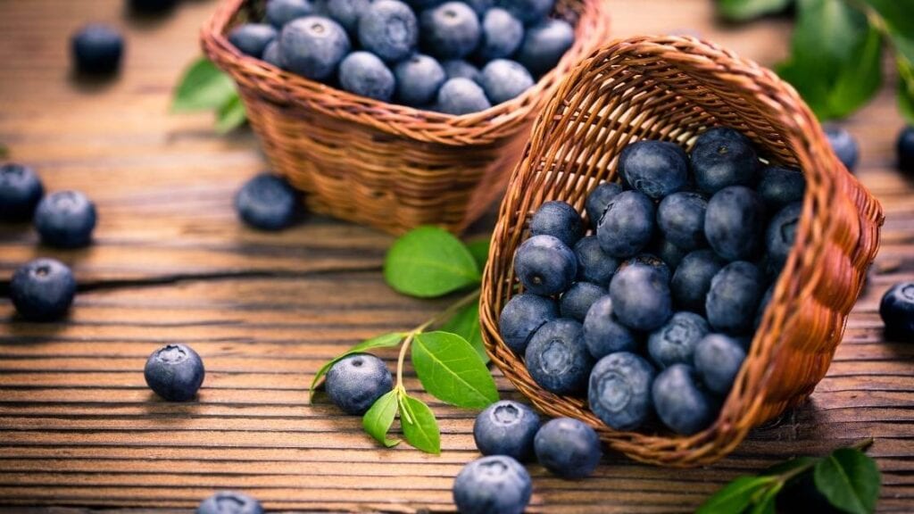 Blueberries