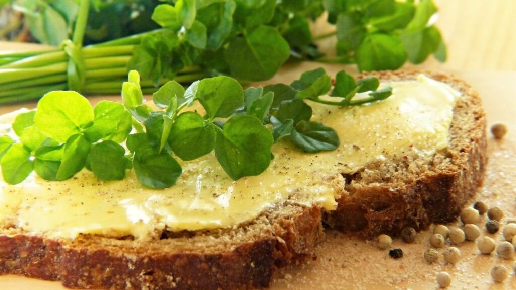 Watercress