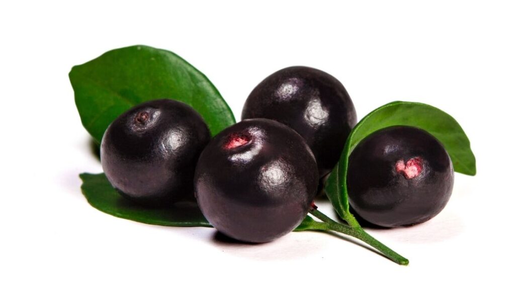 benefits of acai berry