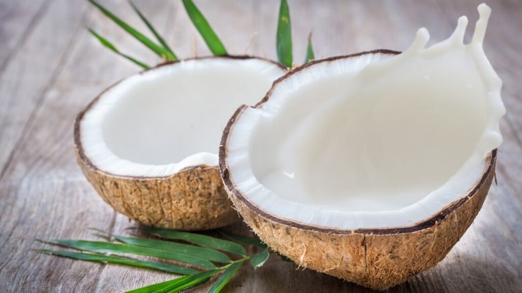 Coconut Milk