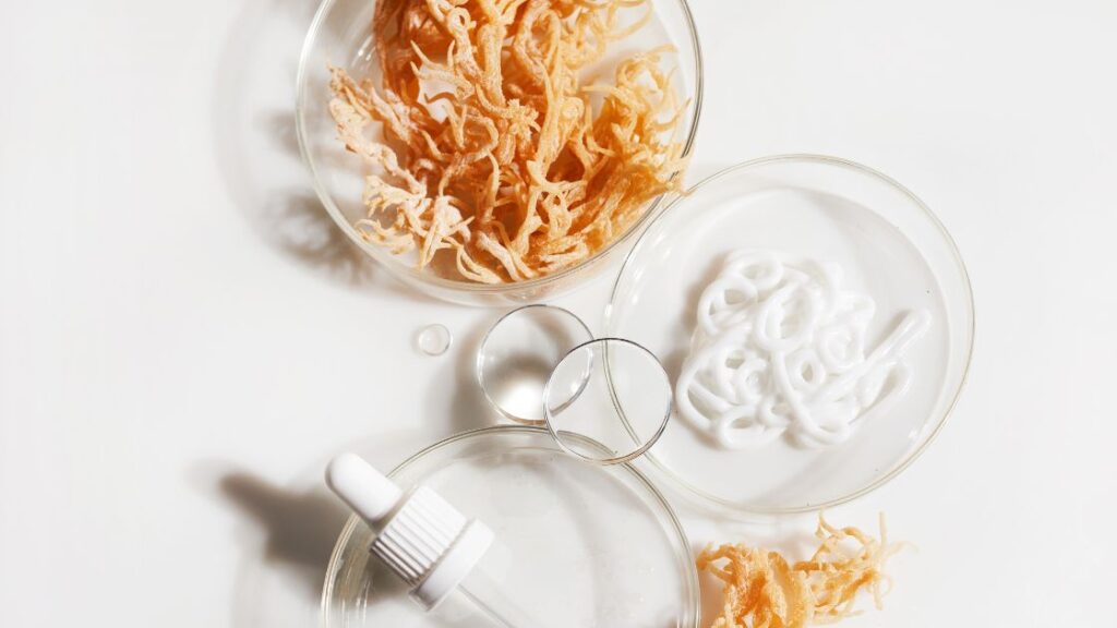 benefits of Sea Moss