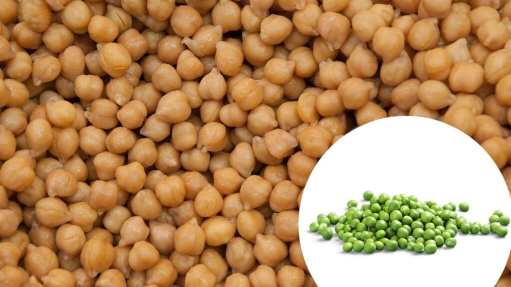 Chickpeas and greenpeas