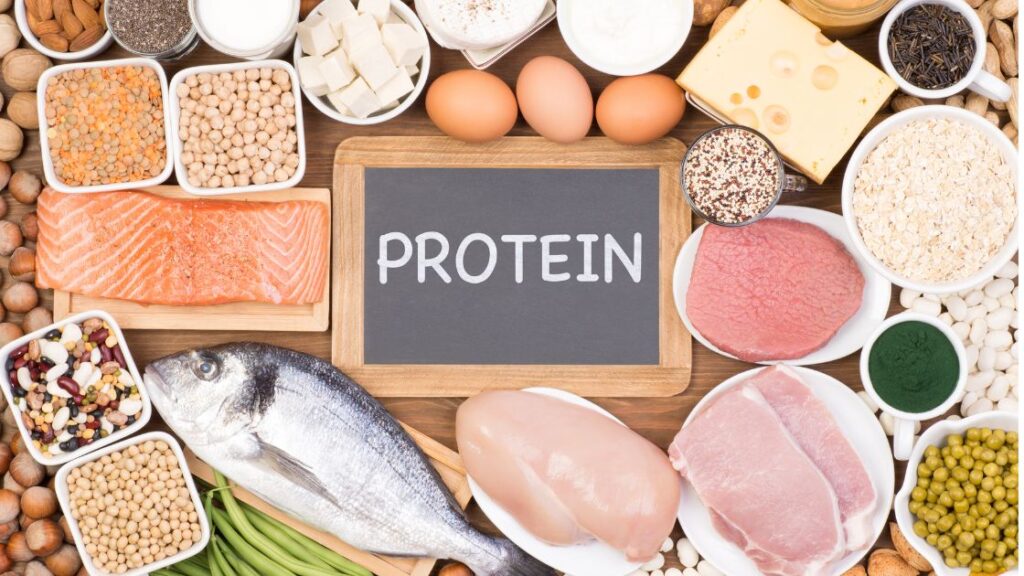 Protein rich Food