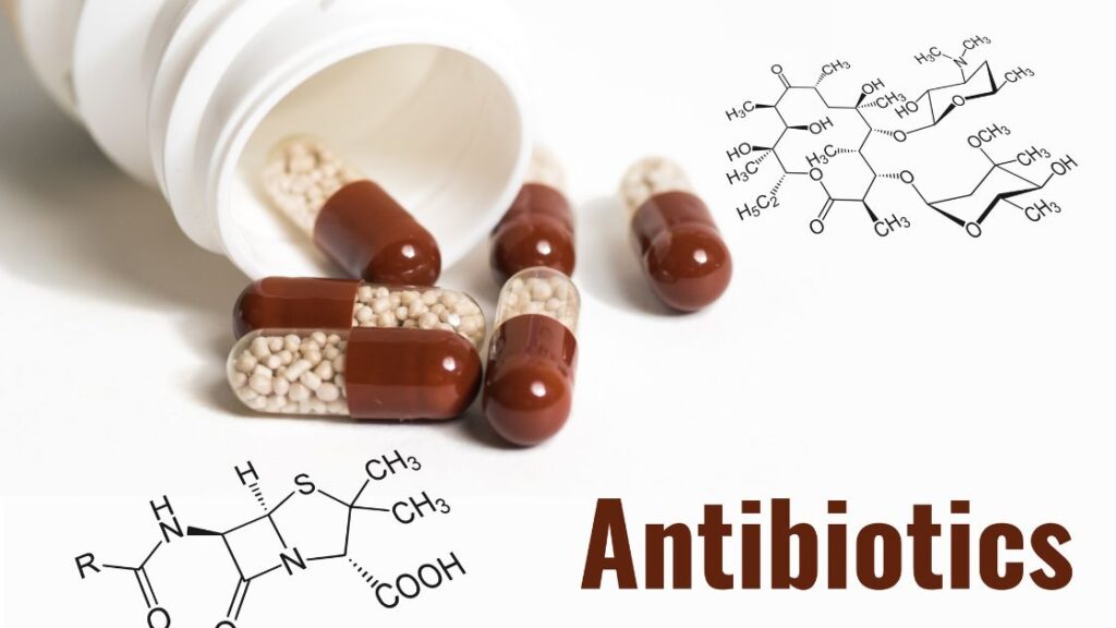 avoid antibiotics
