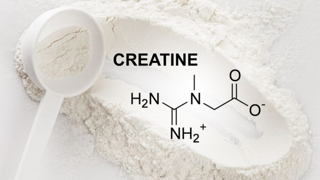 creatine