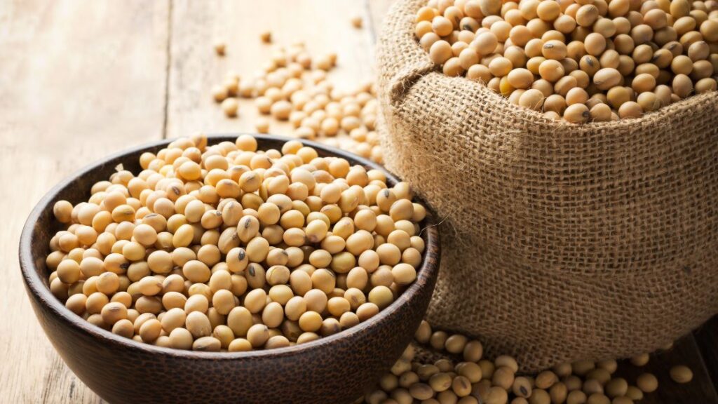 soy beans