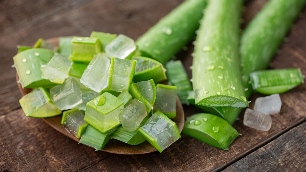 Benefits of Aloe Vera