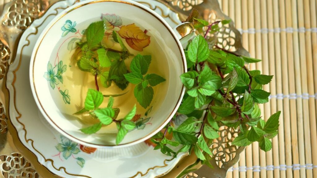 Peppermint Tea