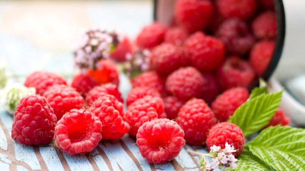 Raspberries