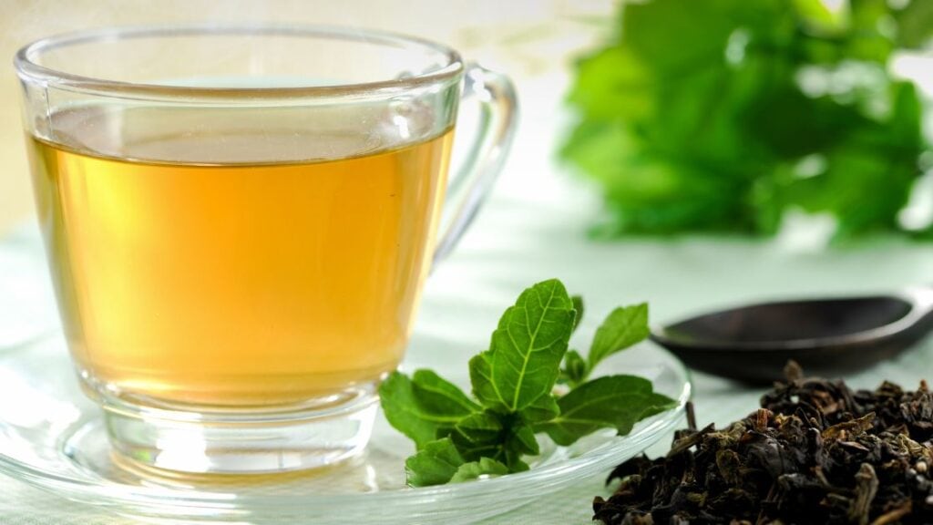 The Benefits of Green Tea Best 3 Uses Nutri Purpose