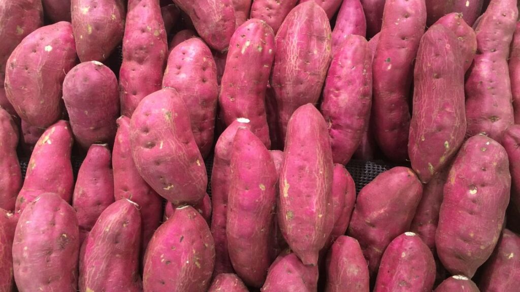 Benefits of sweet potatoes