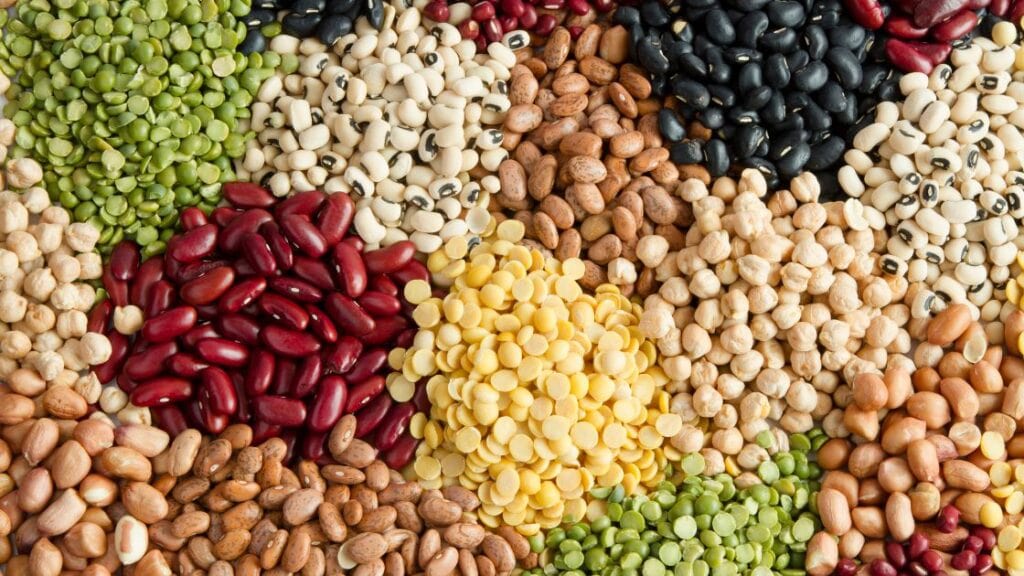 Legumes