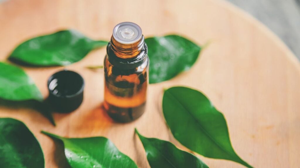 Tea tree oil benefits for skin and hair Nutri Purpose