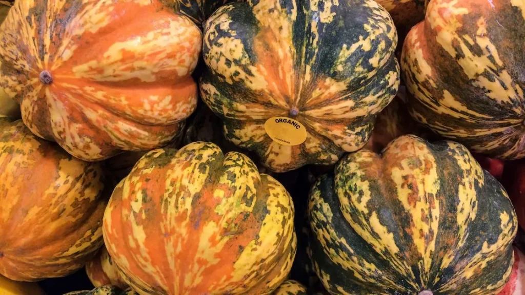 Acorn squash