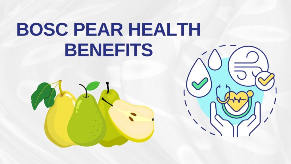 Bosc Pear health benefits