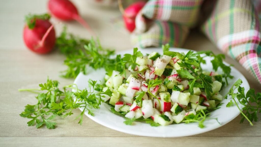 Salad with radish and cucumber