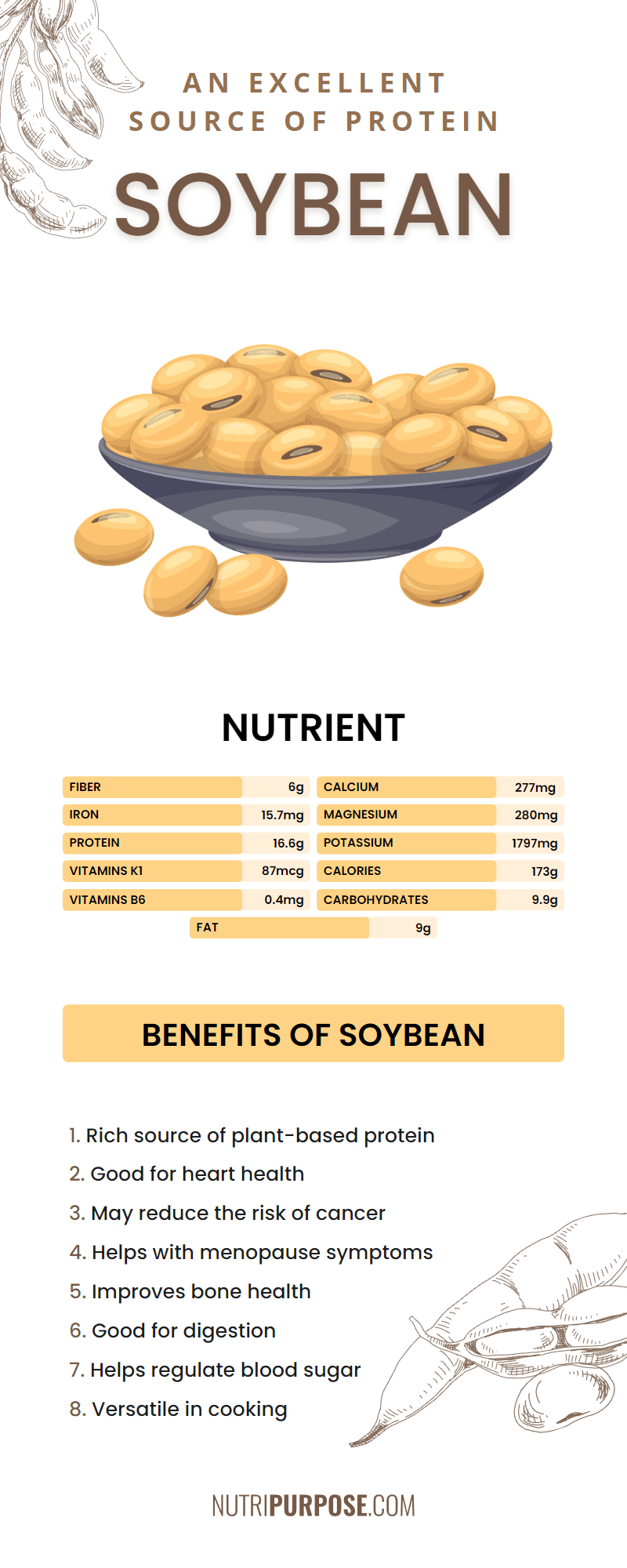 Soybean Excellent Source of Protein Nutri Purpose