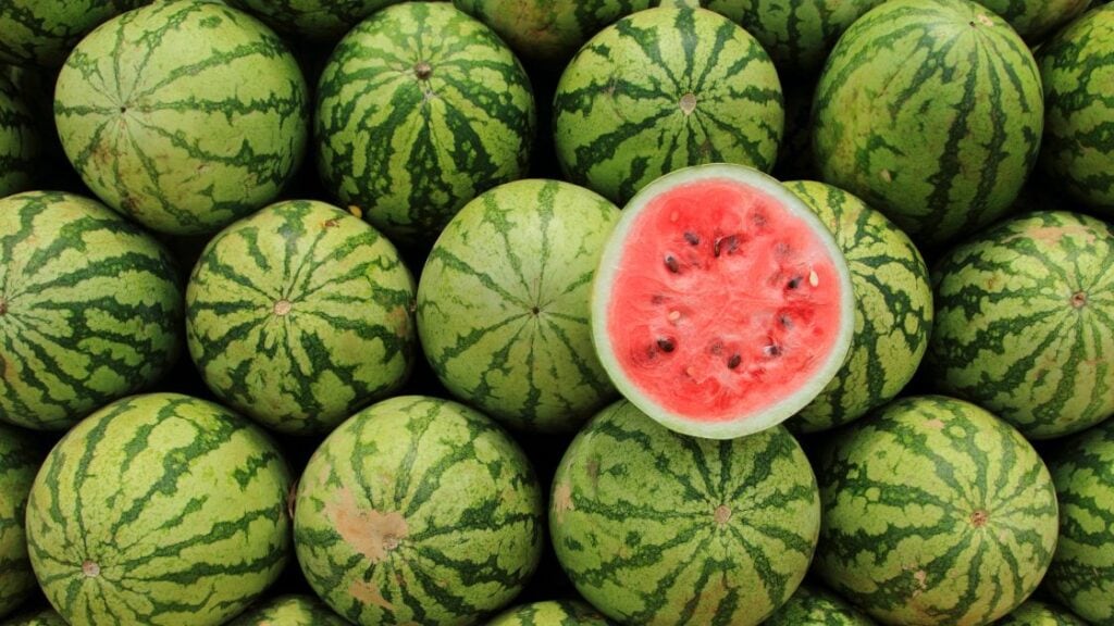 Watermelon