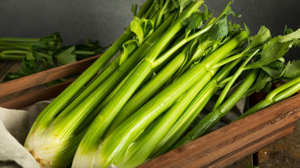 celery