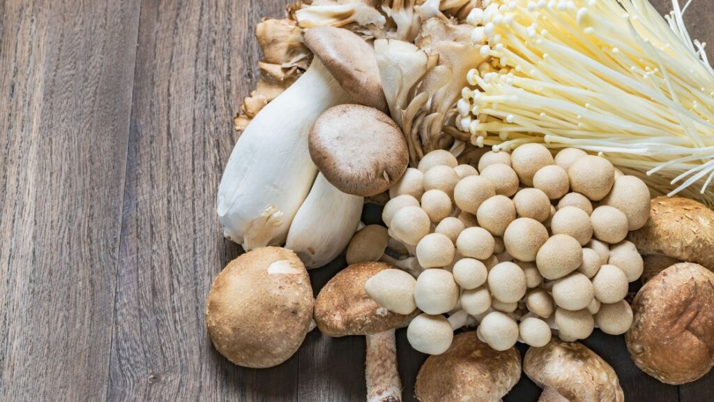 mushroom physical description
