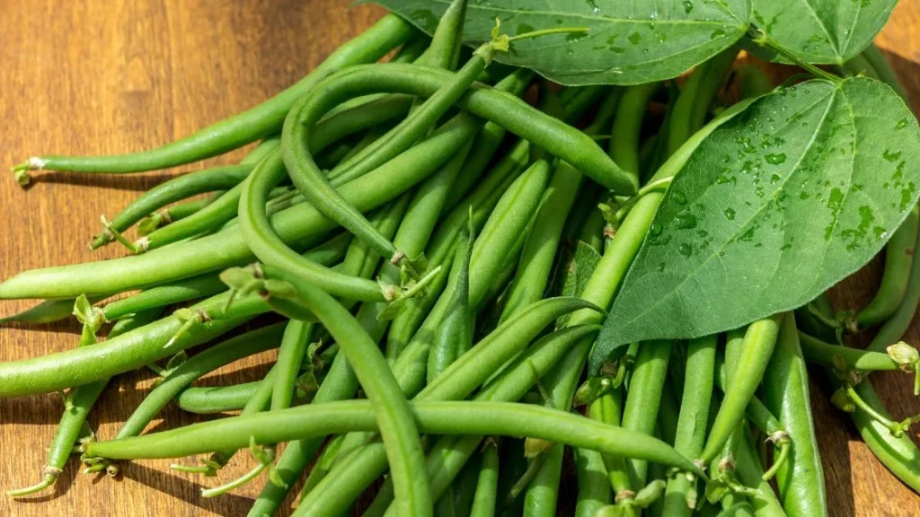 String Beans and Green Beans Best Healthiest Bean