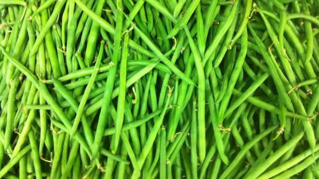 string beans