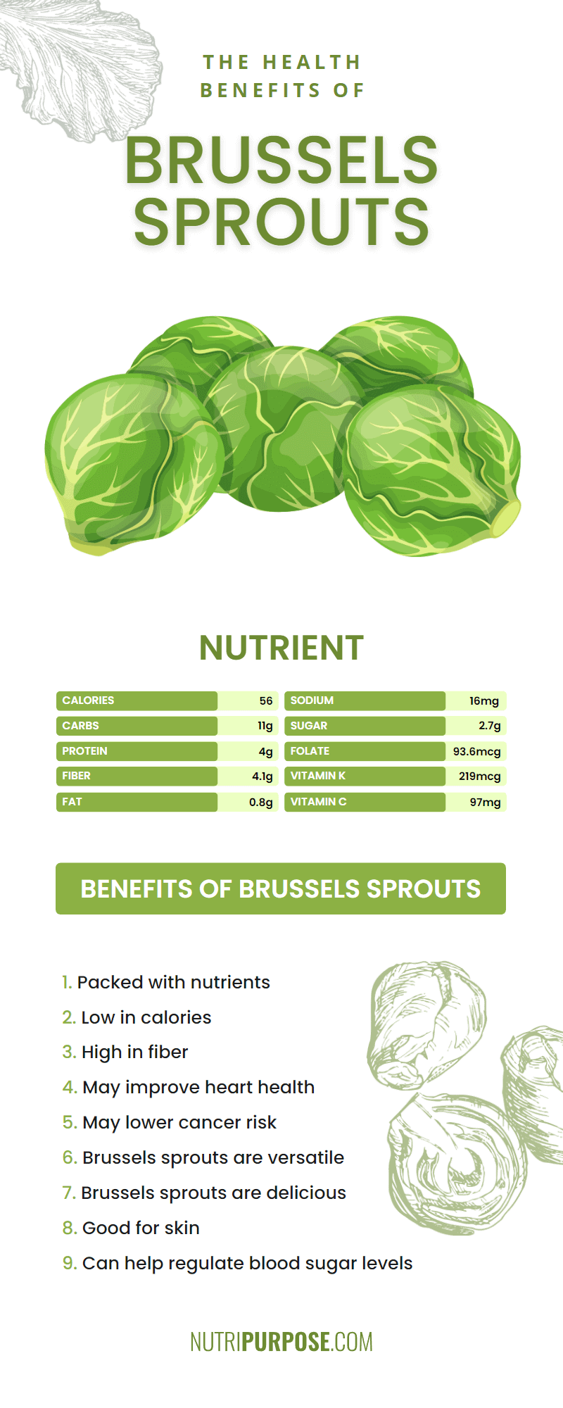Brussels Sprouts Health Benefits What You Need to Know