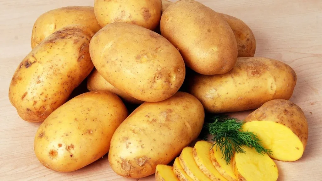 Potato history