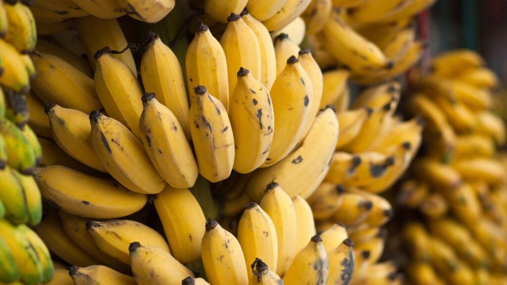 Ripening Bananas